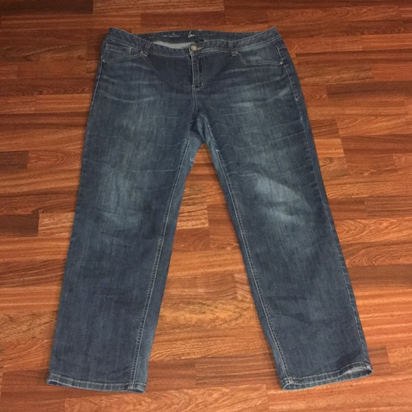 Lane Bryant Denim - Lane Bryant Straight Leg Genius Fit Jeans